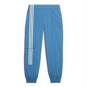 Ivy Park Nylon Track Pants (All Gender) (M)